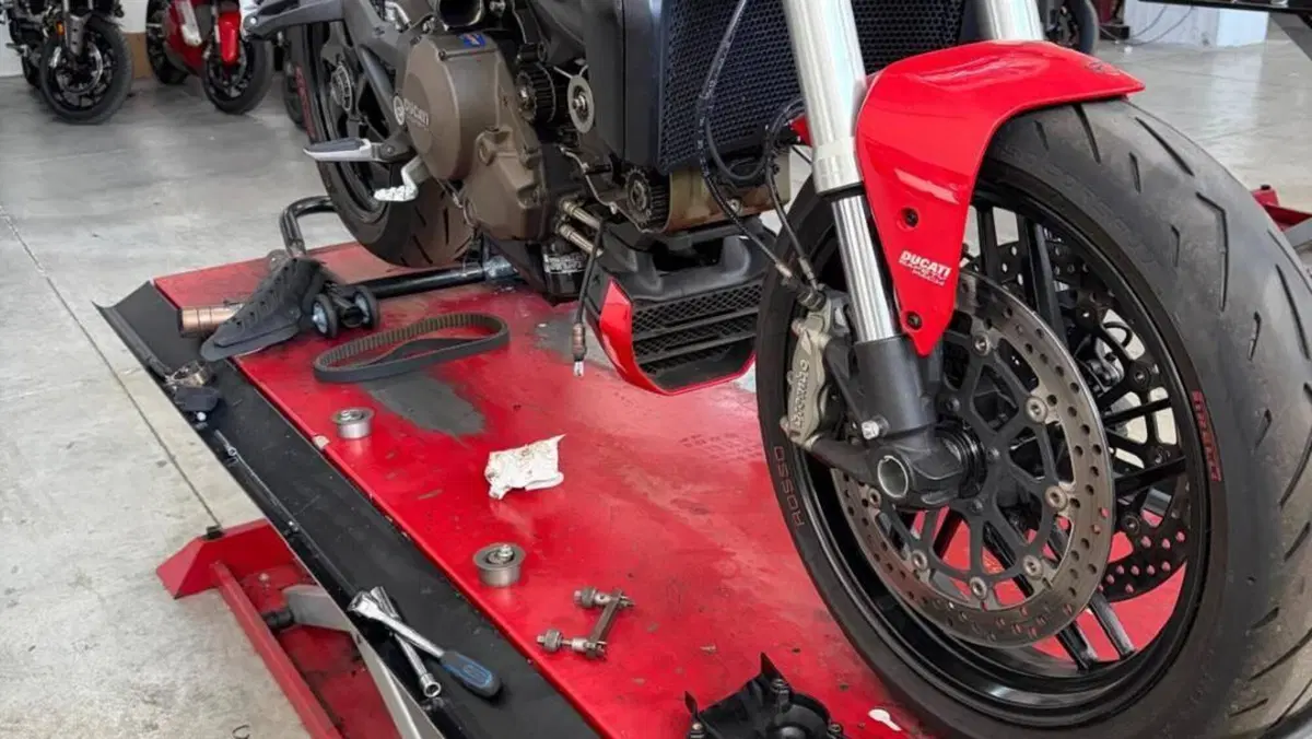Ducati Monster 1200 (2014 - 16)  (11)