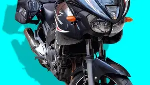 Yamaha TDM 900 (2002 - 14)  (2)