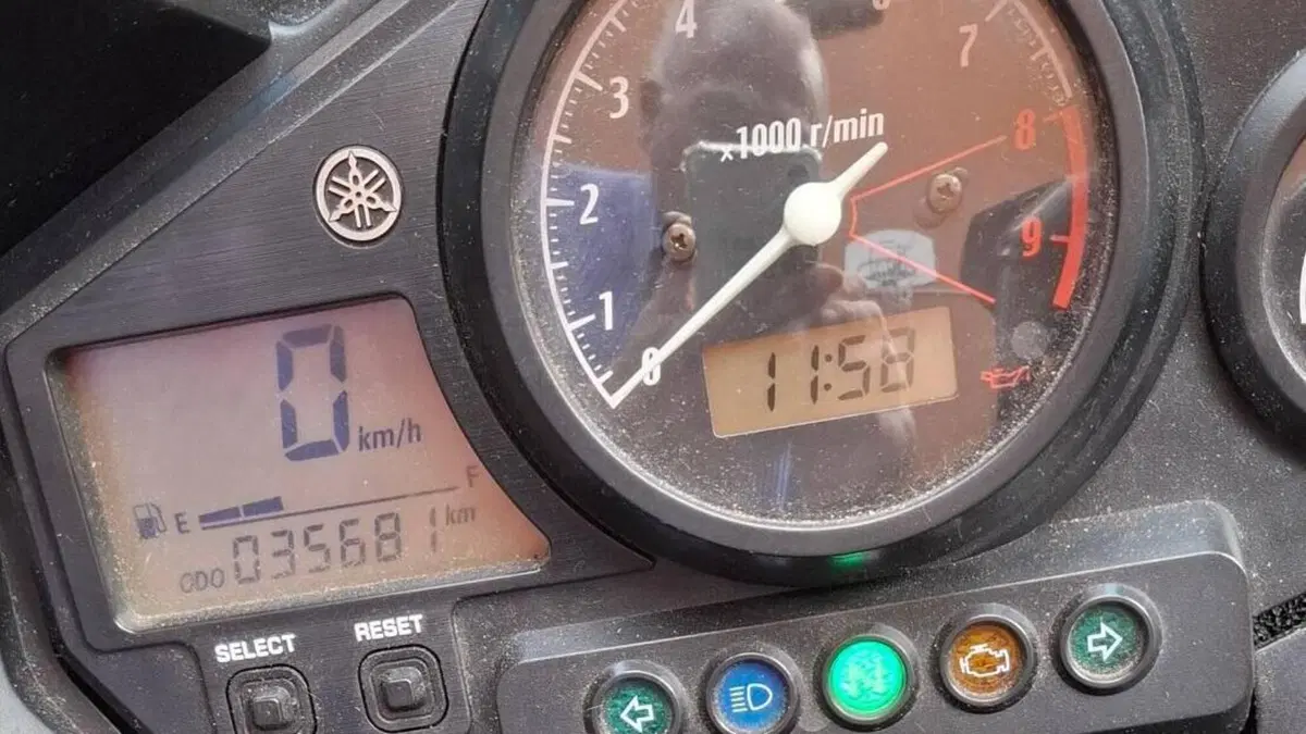 Yamaha TDM 900 (2002 - 14)  (4)