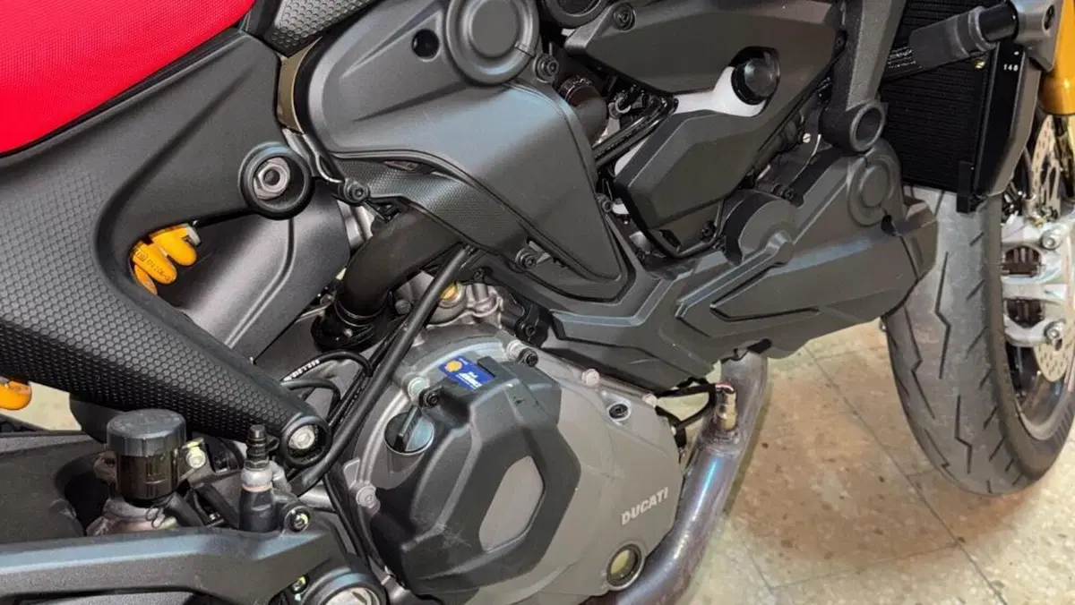 Ducati Monster 937 SP (2023 - 25)  (6)