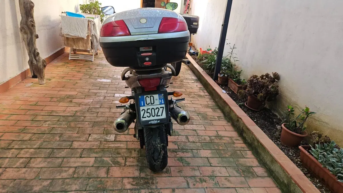 Yamaha TDM 900 (2002 - 14)  (3)