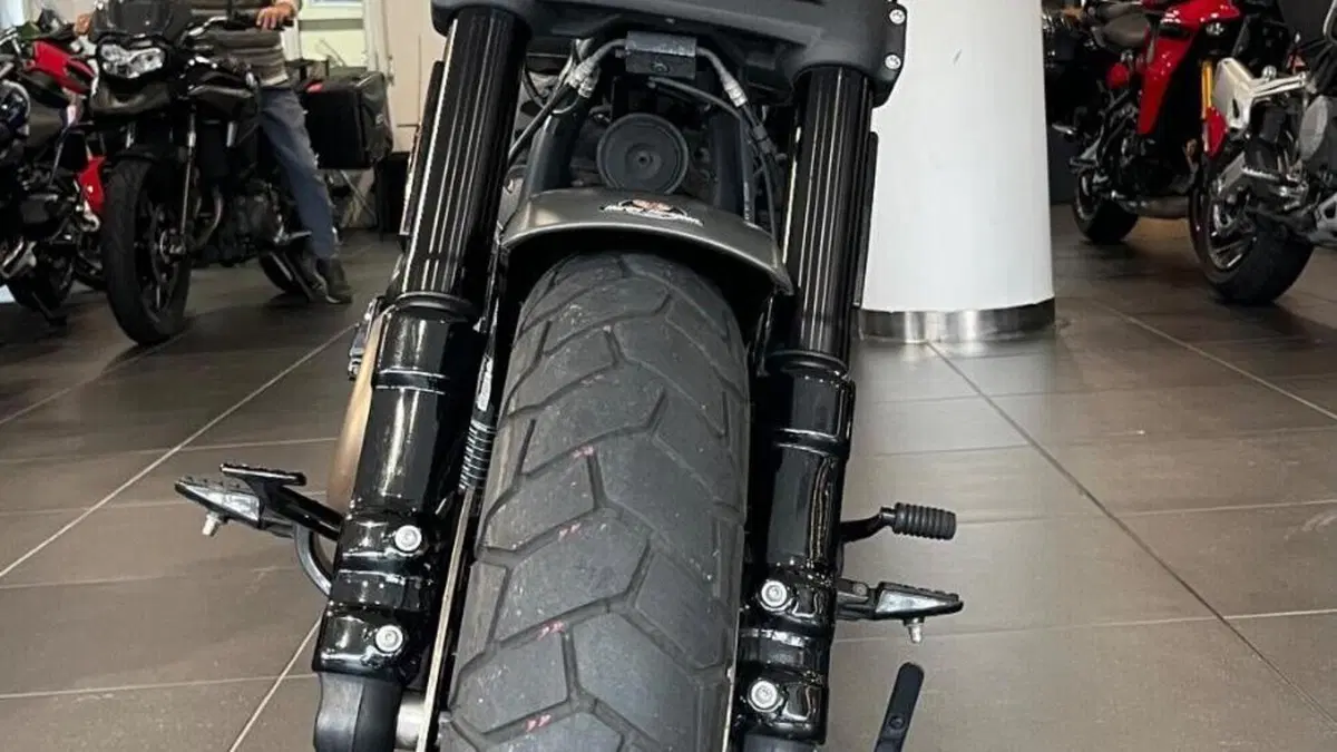 Harley-Davidson 114 Fat Bob (2018 - 20) - FXFBS  (3)