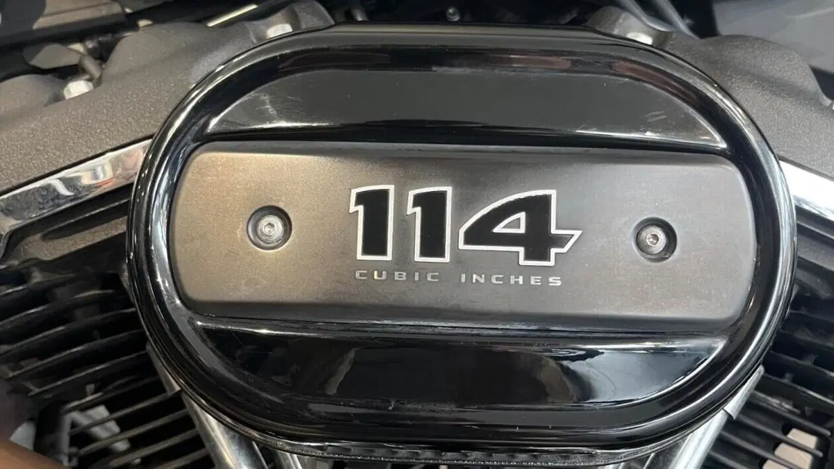 Harley-Davidson 114 Fat Bob (2018 - 20) - FXFBS  (4)