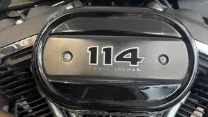 Harley-Davidson 114 Fat Bob (2018 - 20) - FXFBS  (4)