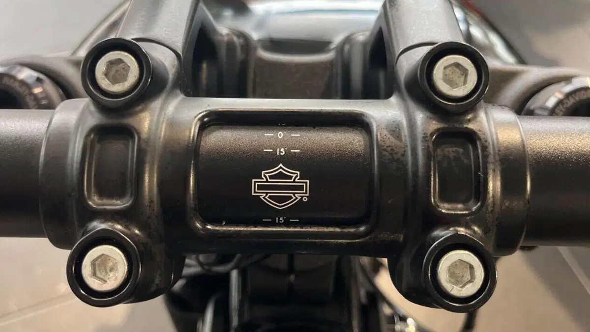 Harley-Davidson 114 Fat Bob (2018 - 20) - FXFBS  (10)