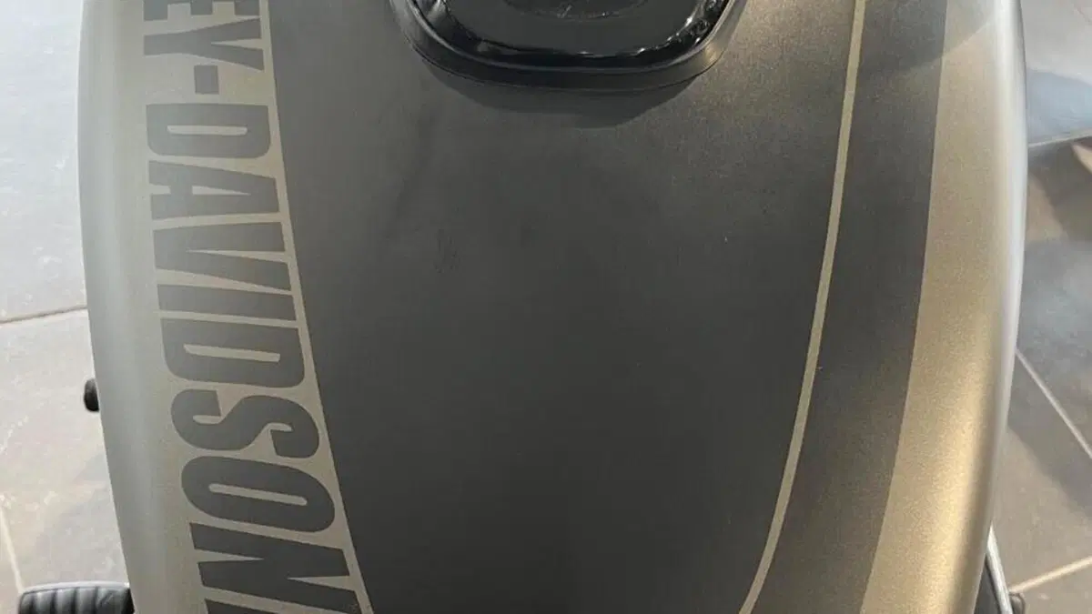 Harley-Davidson 114 Fat Bob (2018 - 20) - FXFBS  (11)