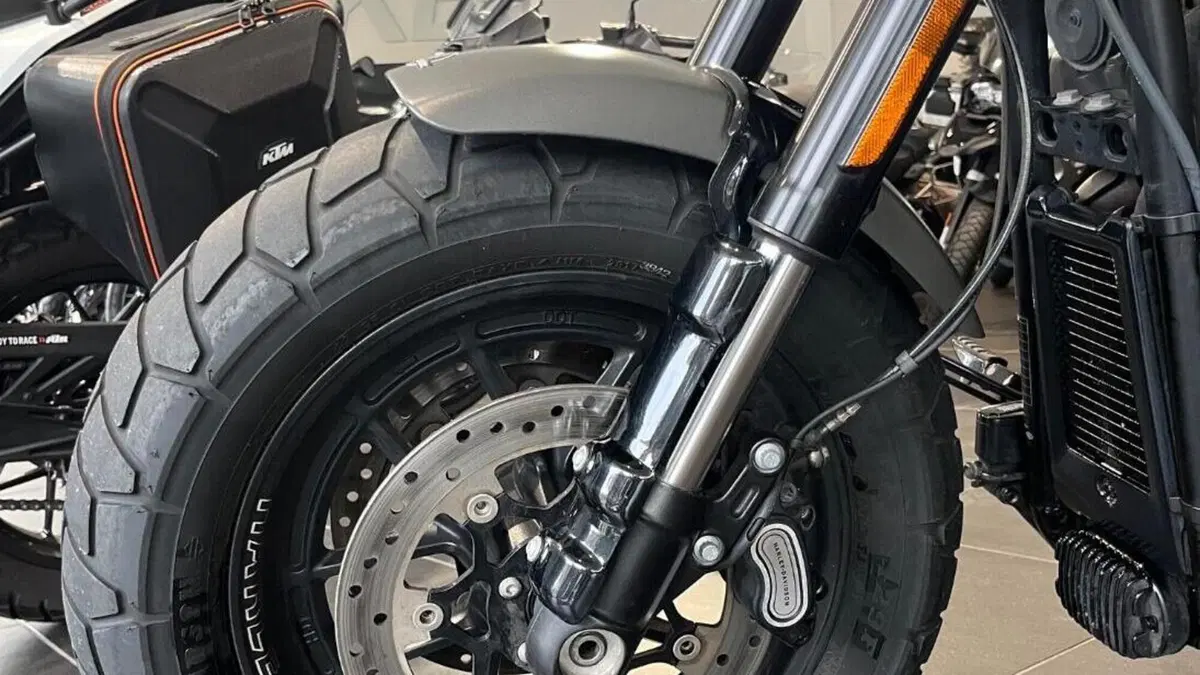 Harley-Davidson 114 Fat Bob (2018 - 20) - FXFBS  (12)