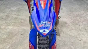 Betamotor RR 300 2T Enduro Race (2026)  (6)
