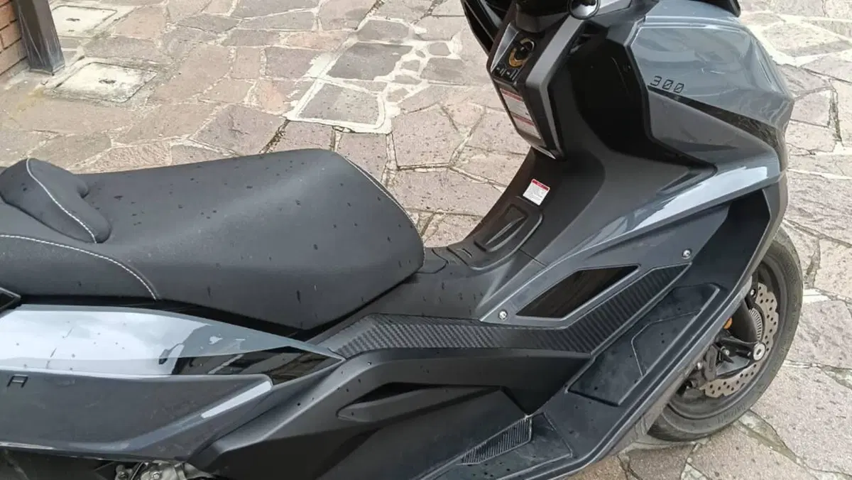 Over Brera 300 (2021 - 23)  (4)
