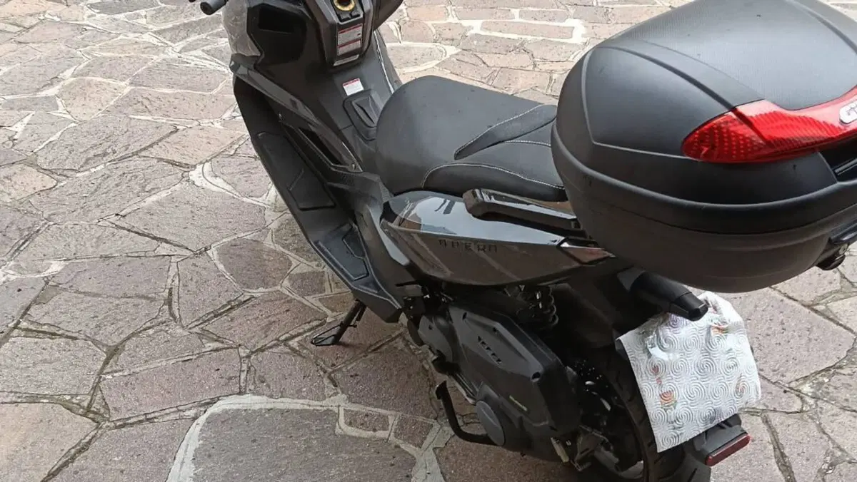 Over Brera 300 (2021 - 23)  (9)