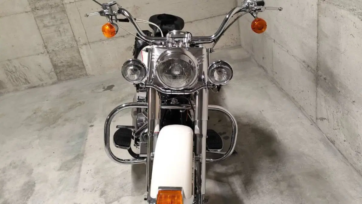 Harley-Davidson 1340 Heritage Special (1993 - 96)  (9)