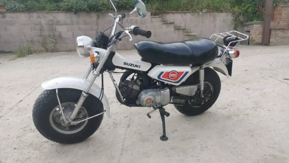 Suzuki   (2)