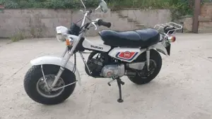 Suzuki   (2)
