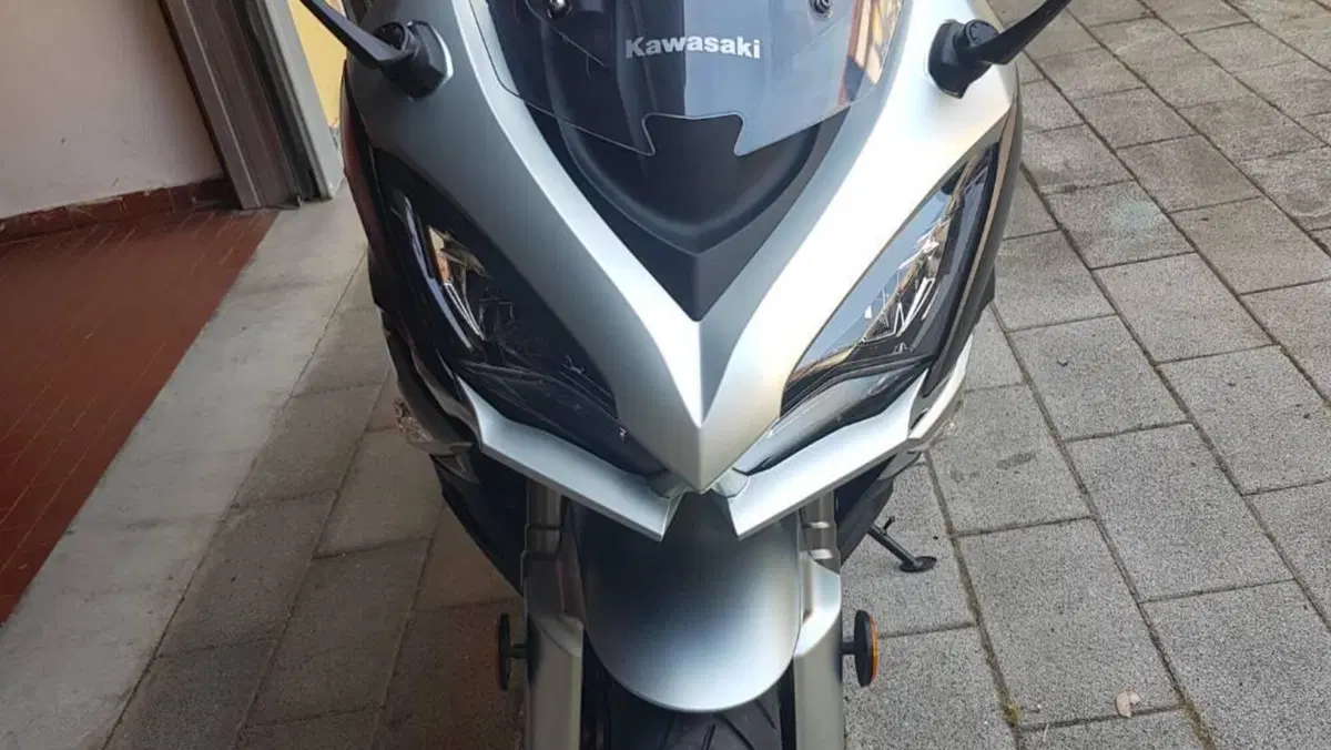 Kawasaki Z 1000 SX Tourer (2017 - 20)  (9)
