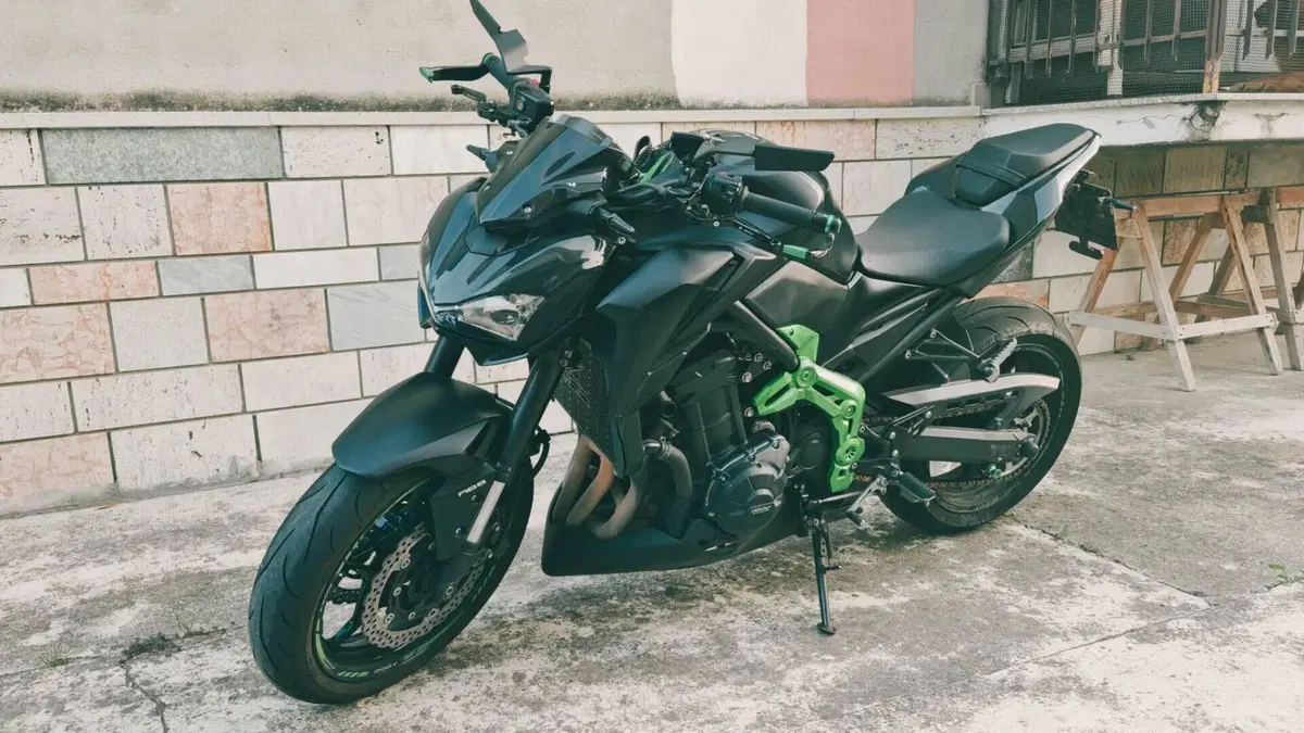 Kawasaki Z 900 Performance (2019) 