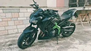 Kawasaki Z 900 Performance (2019) 
