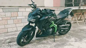 Kawasaki Z 900 Performance (2019)