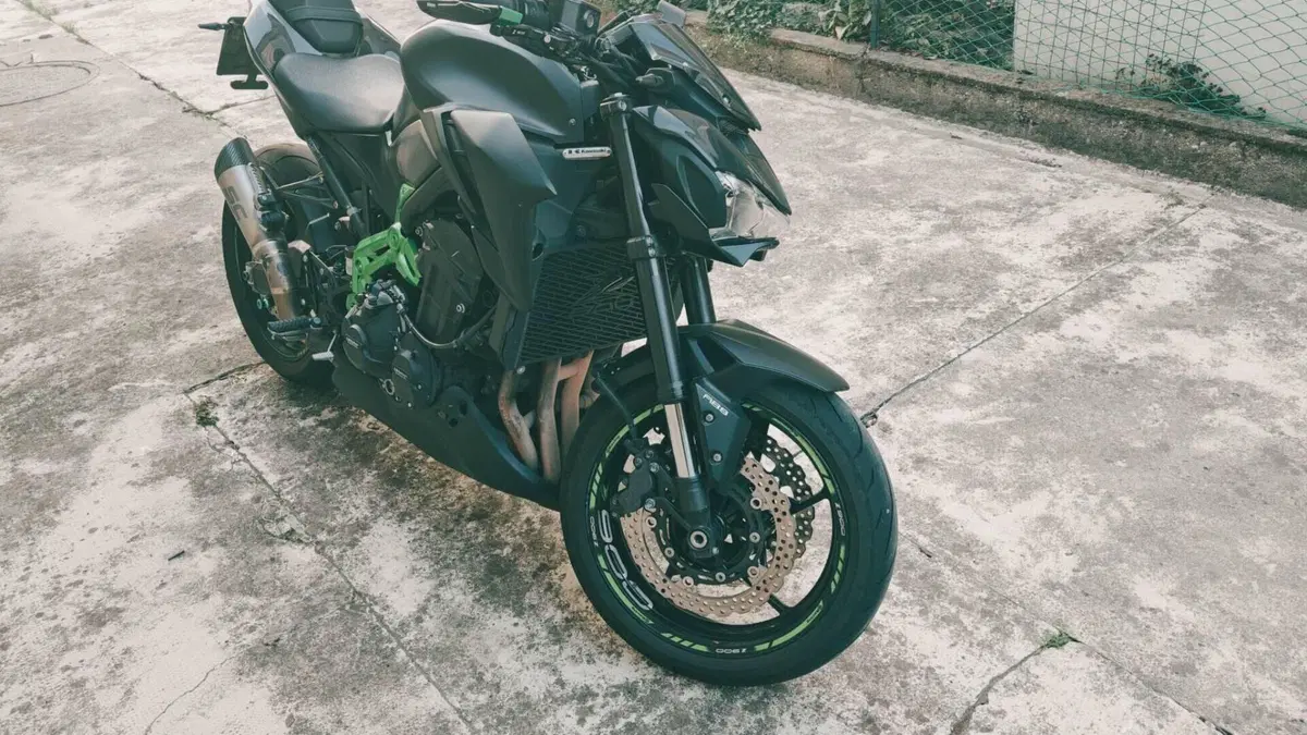 Kawasaki Z 900 Performance (2019)  (2)