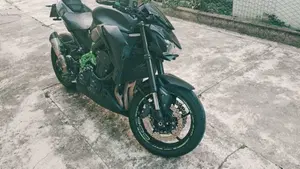 Kawasaki Z 900 Performance (2019)  (2)