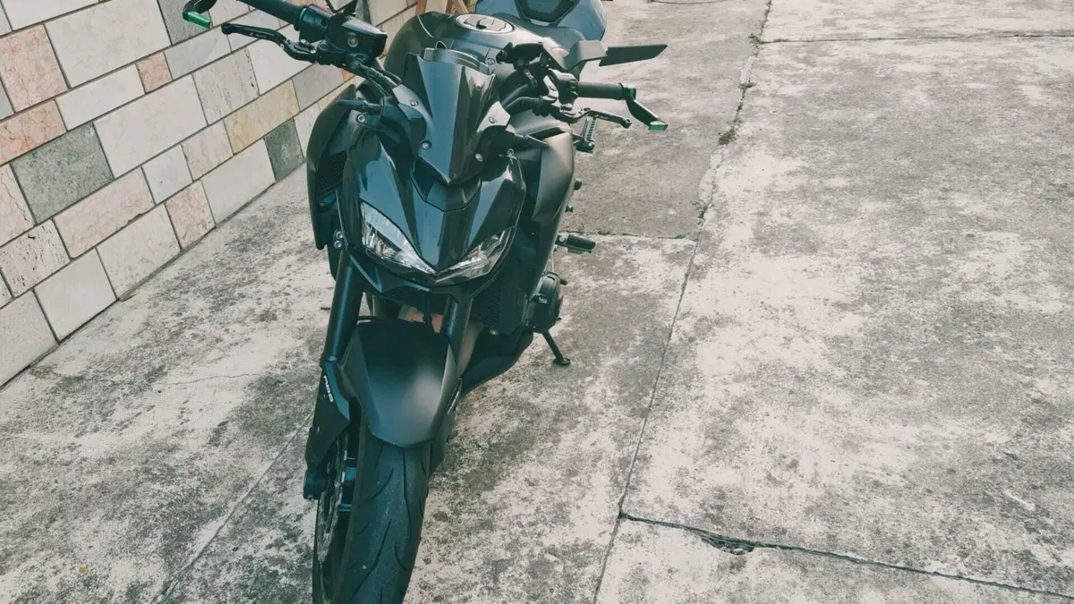 Kawasaki Z 900 Performance (2019)  (3)