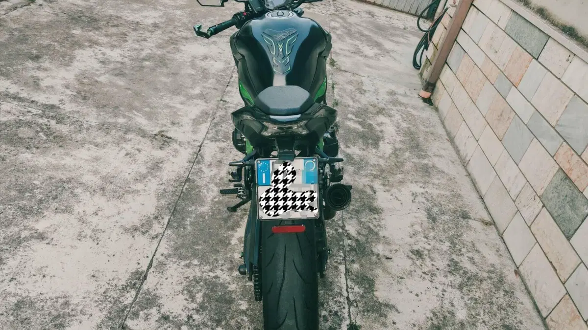 Kawasaki Z 900 Performance (2019)  (4)
