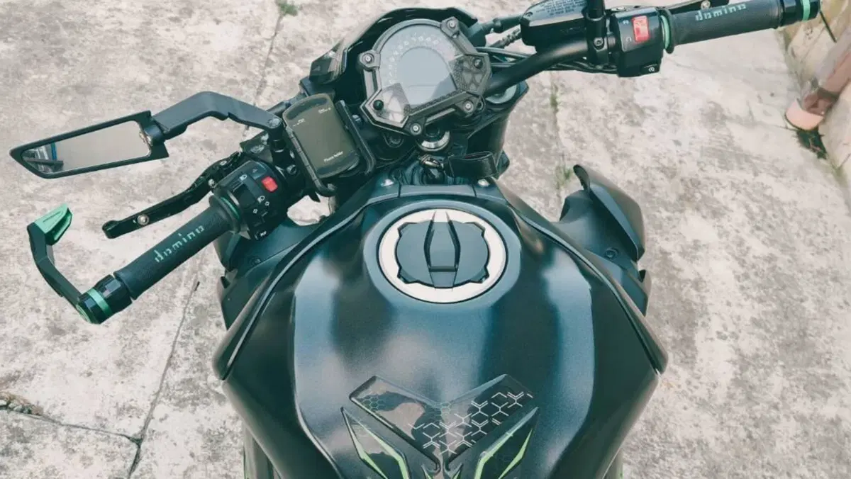 Kawasaki Z 900 Performance (2019)  (6)