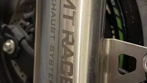 Kawasaki Ninja ZX-4RR (2024 - 26)  (5)