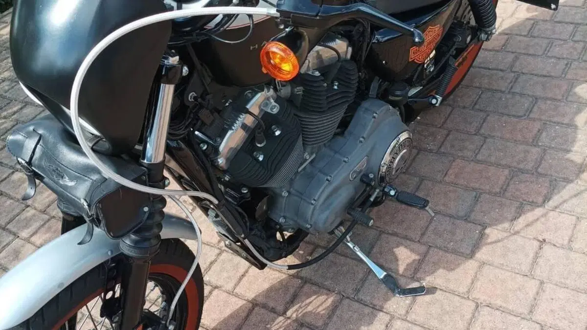Harley-Davidson 883 (2008 - 09) - XL  (5)