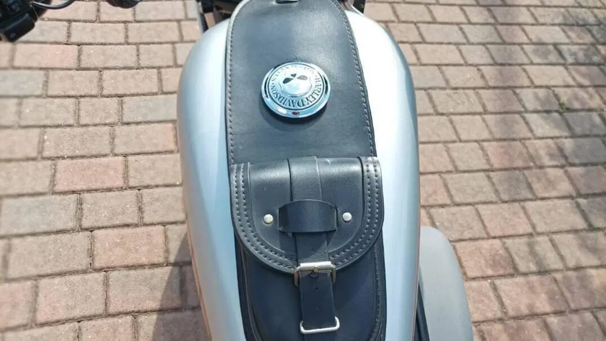 Harley-Davidson 883 (2008 - 09) - XL  (7)