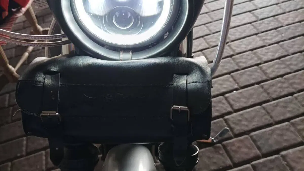 Harley-Davidson 883 (2008 - 09) - XL  (10)