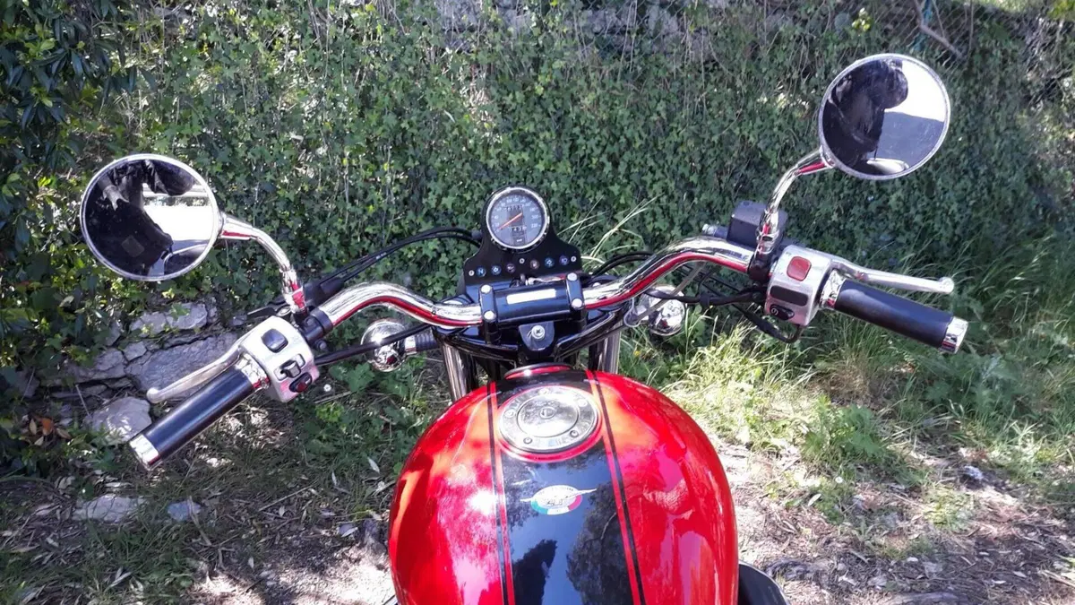 Moto Guzzi California Stone (2001 - 06)  (4)