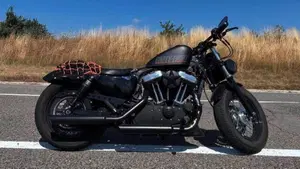 Harley-Davidson 1200 Forty-Eight (2010 - 15)  (2)