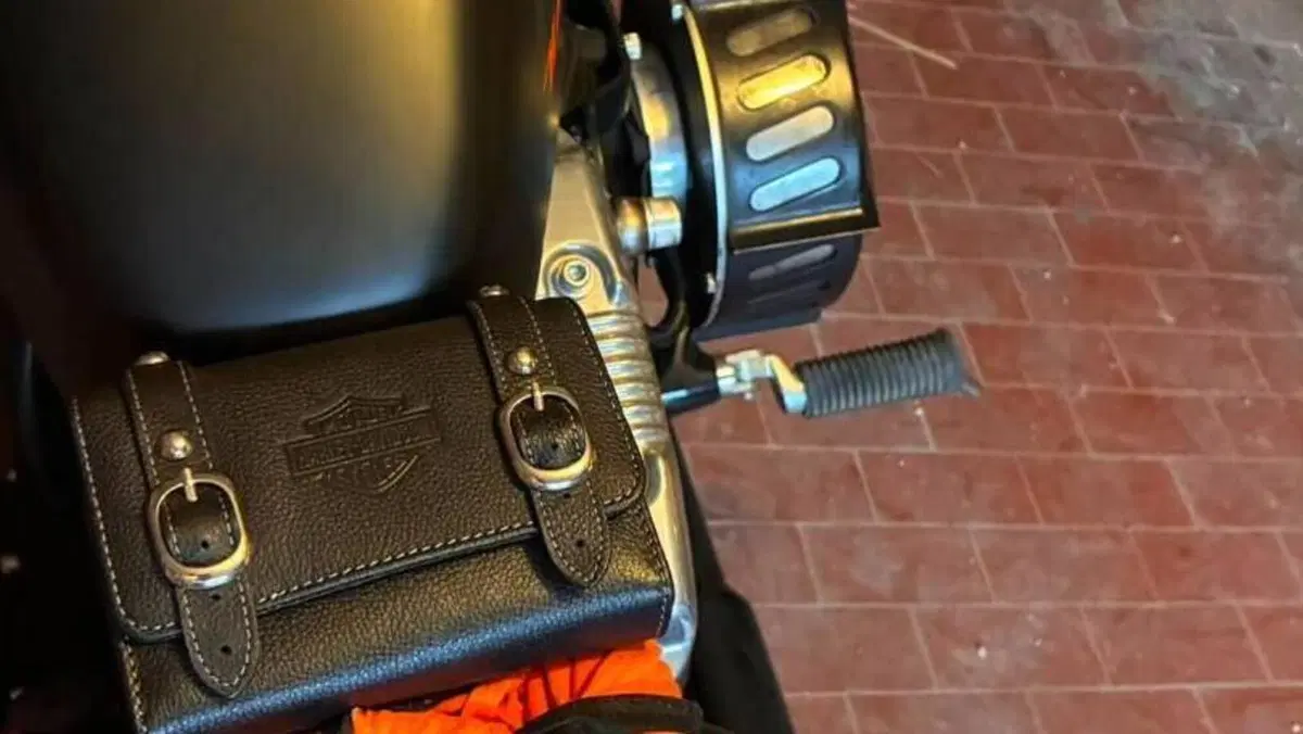 Harley-Davidson 1200 Forty-Eight (2010 - 15)  (11)