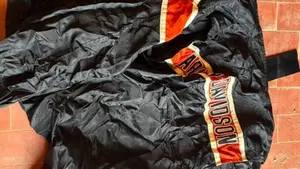 Harley-Davidson 1200 Forty-Eight (2010 - 15)  (18)