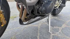 Triumph Street Triple R (2009 - 12)  (7)
