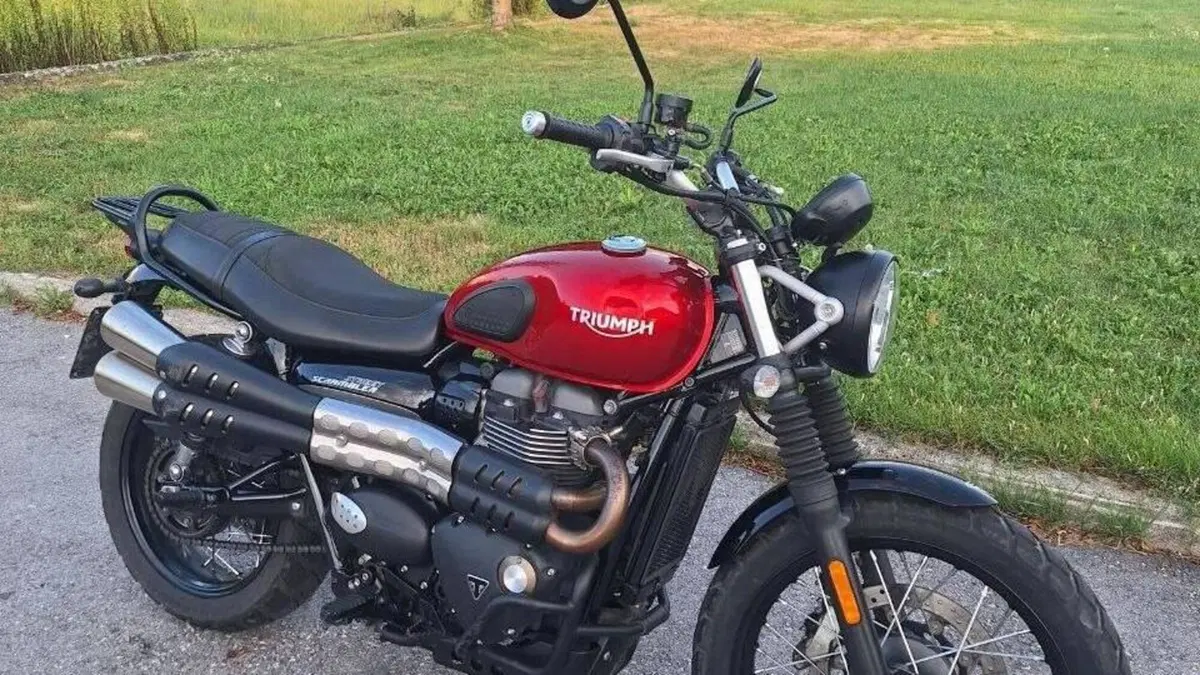Triumph Street Scrambler 900 (2019 - 20)  (5)