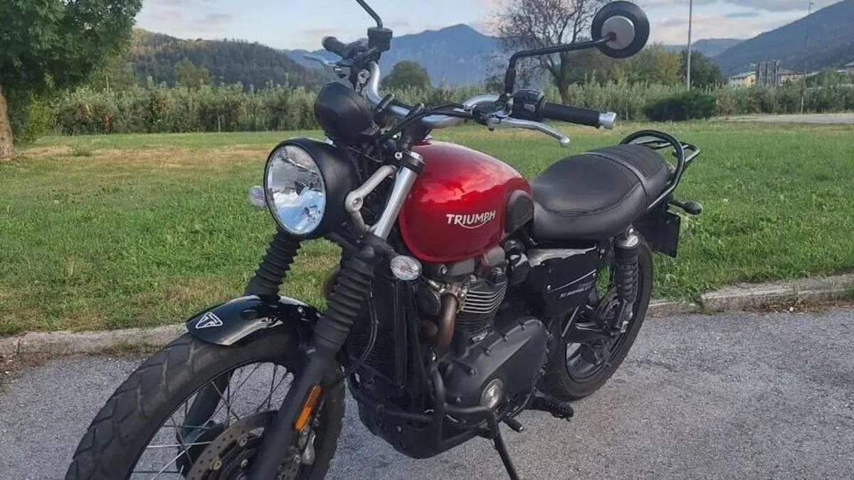 Triumph Street Scrambler 900 (2019 - 20)  (6)