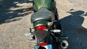 Kawasaki Z 900 RS (2018 - 20)  (14)