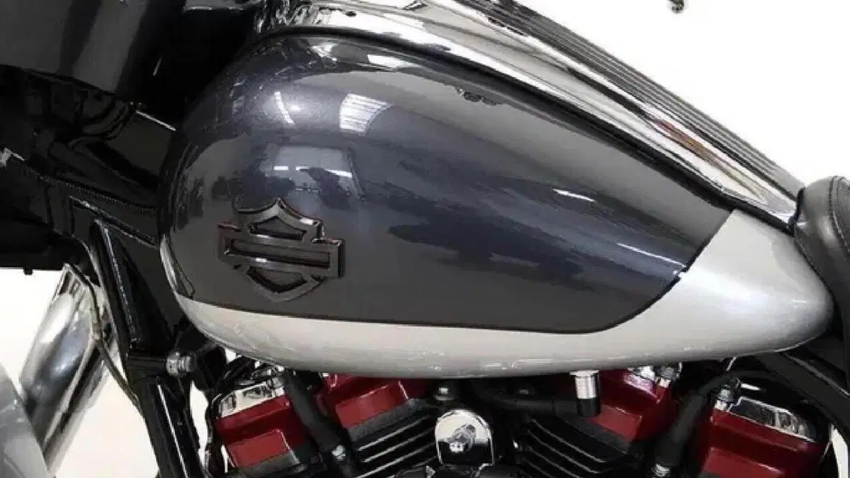 Harley-Davidson 117 Street Glide (2018 - 20) - FLHXSE  (2)