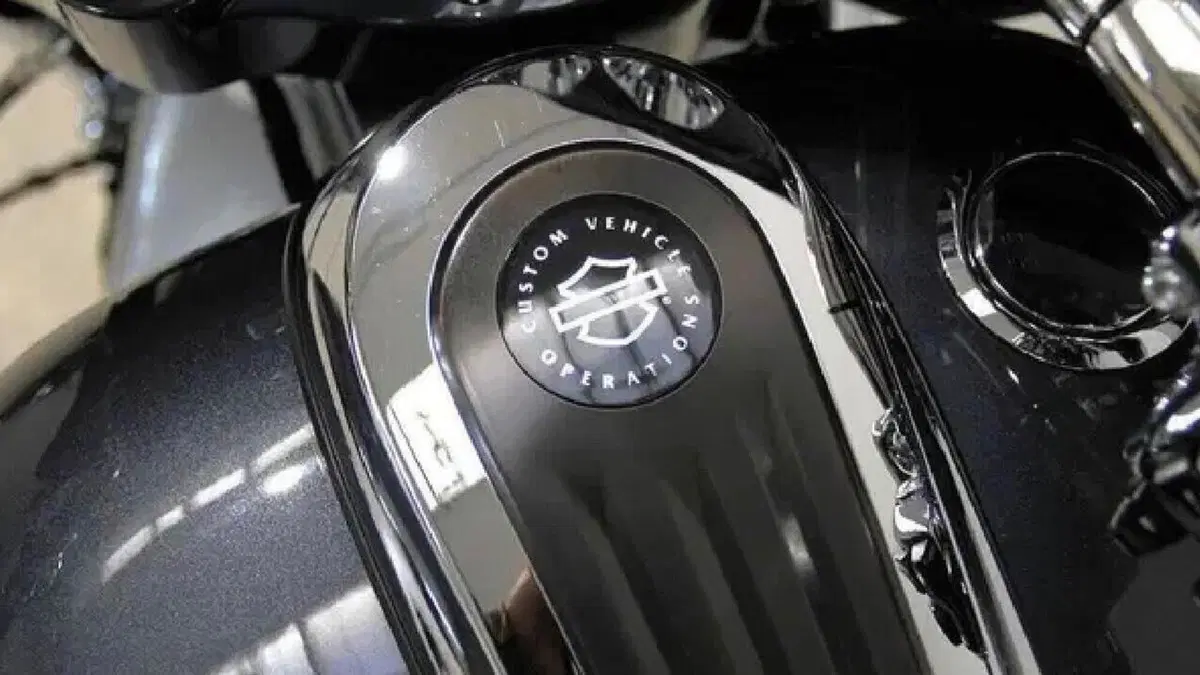 Harley-Davidson 117 Street Glide (2018 - 20) - FLHXSE  (4)