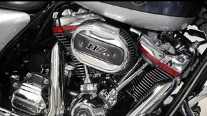 Harley-Davidson 117 Street Glide (2018 - 20) - FLHXSE  (13)