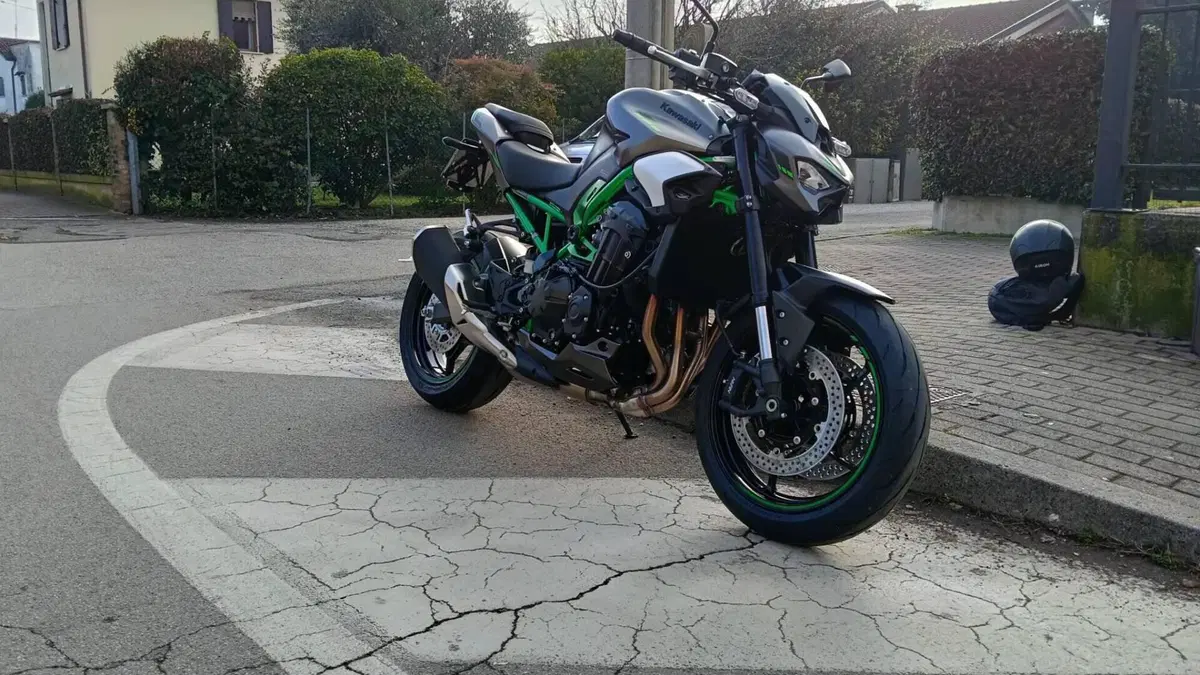 Kawasaki Z 900 (2025 - 26)  (2)