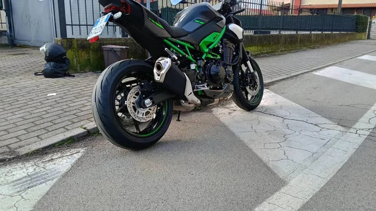 Kawasaki Z 900 (2025 - 26)  (3)