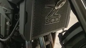 Kawasaki Z 900 (2025 - 26)  (9)