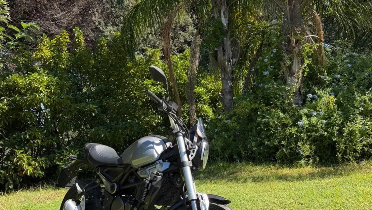 Voge Trofeo 300ACX Scrambler (2021 - 26) 