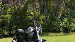 Voge Trofeo 300ACX Scrambler (2021 - 26) 