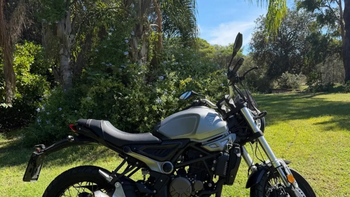 Voge Trofeo 300ACX Scrambler (2021 - 26)  (2)