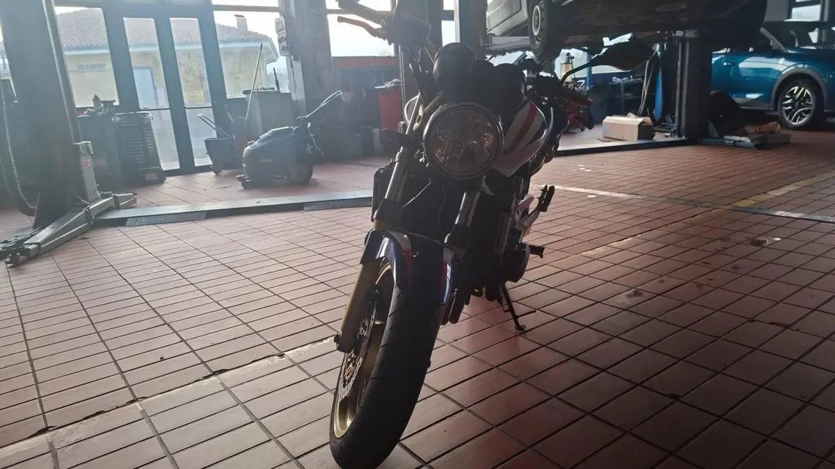 Honda Hornet 900  (6)