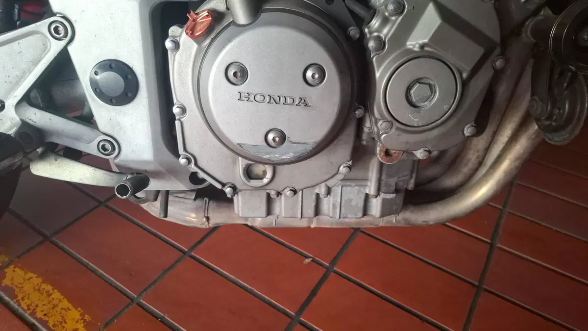 Honda Hornet 900  (8)