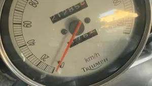 Triumph Bonneville 800 America (2001 - 07)  (2)